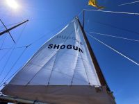 Teneriffa - Küstenschiffsfahrt