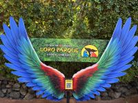 Teneriffa - Loro-Park
