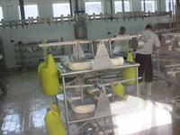 Blick in die Käserei Subaida