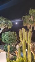 Vollmond auf Lanzarote