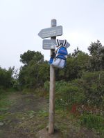 Auf dem Weg zum Gipfel