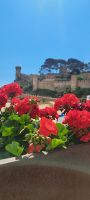 Tossa de Mar 