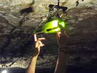 Sektkellerei Freixenet