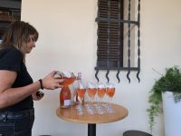 Sektprobe in der Sektkellerei Freixenet