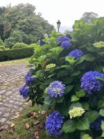 Spanien, Besuch in der Bodega Pazo Rubianes