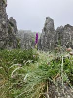 Spanien, Covadonga, durch die Felsformationen