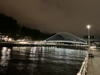 Spanien, Bilbao, Zubizuri Brücke bei Nacht