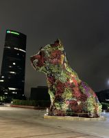Spanien, Bilbao, Puppy bei Nacht