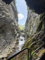 Picos de Europa .JPG