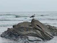 Kathedralenstrand .JPG