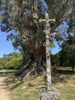 Pazo de Rubianes.JPG