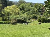 Pazo de Rubianes .JPG