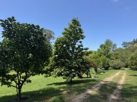 Pazo de Rubianes.JPG