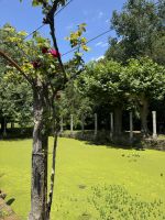 Pazo de Rubianes .JPG