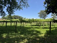 Pazo de Rubianes .JPG