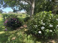 Pazo de Rubianes .JPG