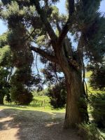 Pazo de Rubianes .JPG