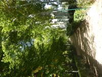 239 Aranjuez