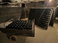 Sektkellerei Freixenet 