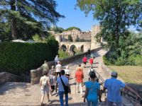 Brücke nach Besalú 