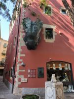 Die Fliege von Girona