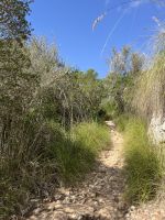 Wanderweg, Menorca, Spanien.jpeg