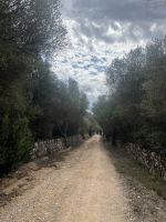 Wanderweg, Landschaft, Menorca, Spanien