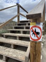 Strand, Wanderweg, Son Bou, Menorca, Spanien