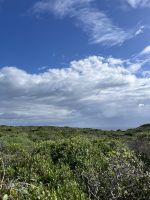 Landschaft, Menorca, Spanien