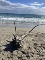 Strand, Menorca, Spanien