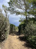 Wanderweg, Menorca, Spanien