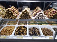 Olivenberge in Mercado - Madrid, Spanien 