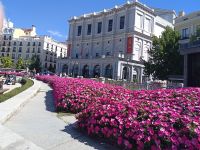 Die Oper von Madrid und bunten Blumen - Madrid, Spanien