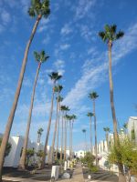 Hyde Park Lane Hotel/Puerto del Carmen/Lanzarote/Kanaren