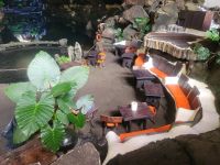 „Jameos del Agua“/Lanzarote/Kanaren