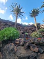 „Jameos del Agua“/Lanzarote/Kanaren