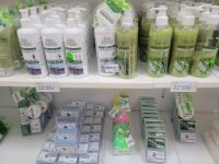 Aloe Vera/Lanzarote/Kanaren