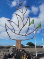 Aloe Vera Farm/Lanzarote/Kanaren