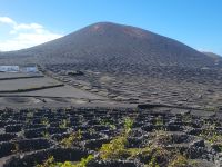 Weinregion La Geria/Lanzarote/Kanaren
