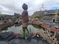 „Jardín de Cactus“, Kakteengarten/Lanzarote/Kanaren