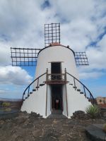 „Jardín de Cactus“, Kakteengarten/Lanzarote/Kanaren