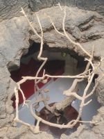 „Fundación César Manrique“/Lanzarote/Kanaren