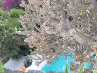 „Fundación César Manrique“/Lanzarote/Kanaren