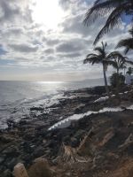 Puerto del Carmen/Lanzarote/Kanaren