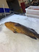 Markthalle La Laguna