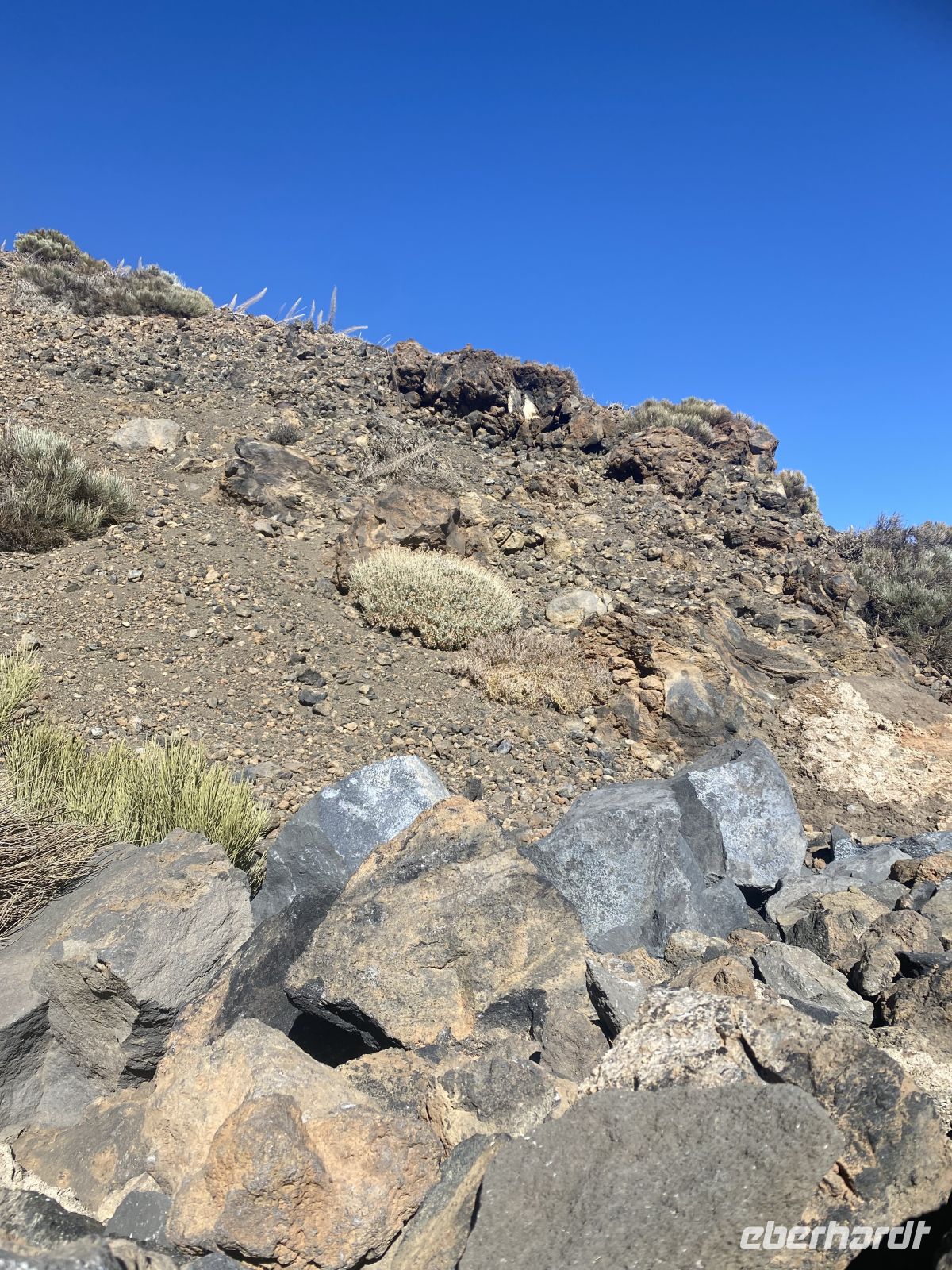 Teide Nationalpark 