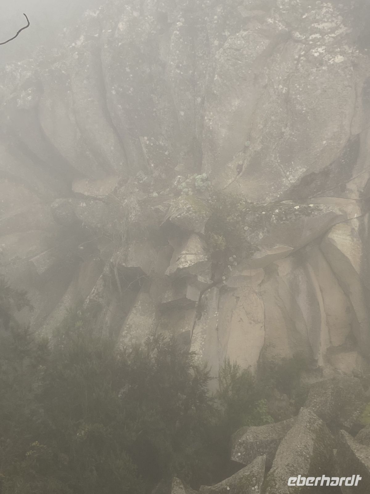 Margarita de la Piedra