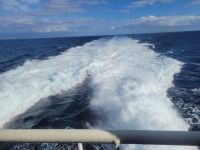 Überfahrt mit Fähre von Teneriffa nach La Gomera/Kanaren