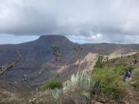 Blick zum Fortaleza/Garajonay Nationalpark/La Gomera/Kanaren