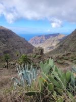 Barranco bei El Cercado/La Gomera/Kanaren